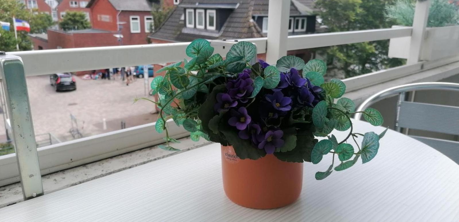 Apartment Hanseatenhaus Westerland